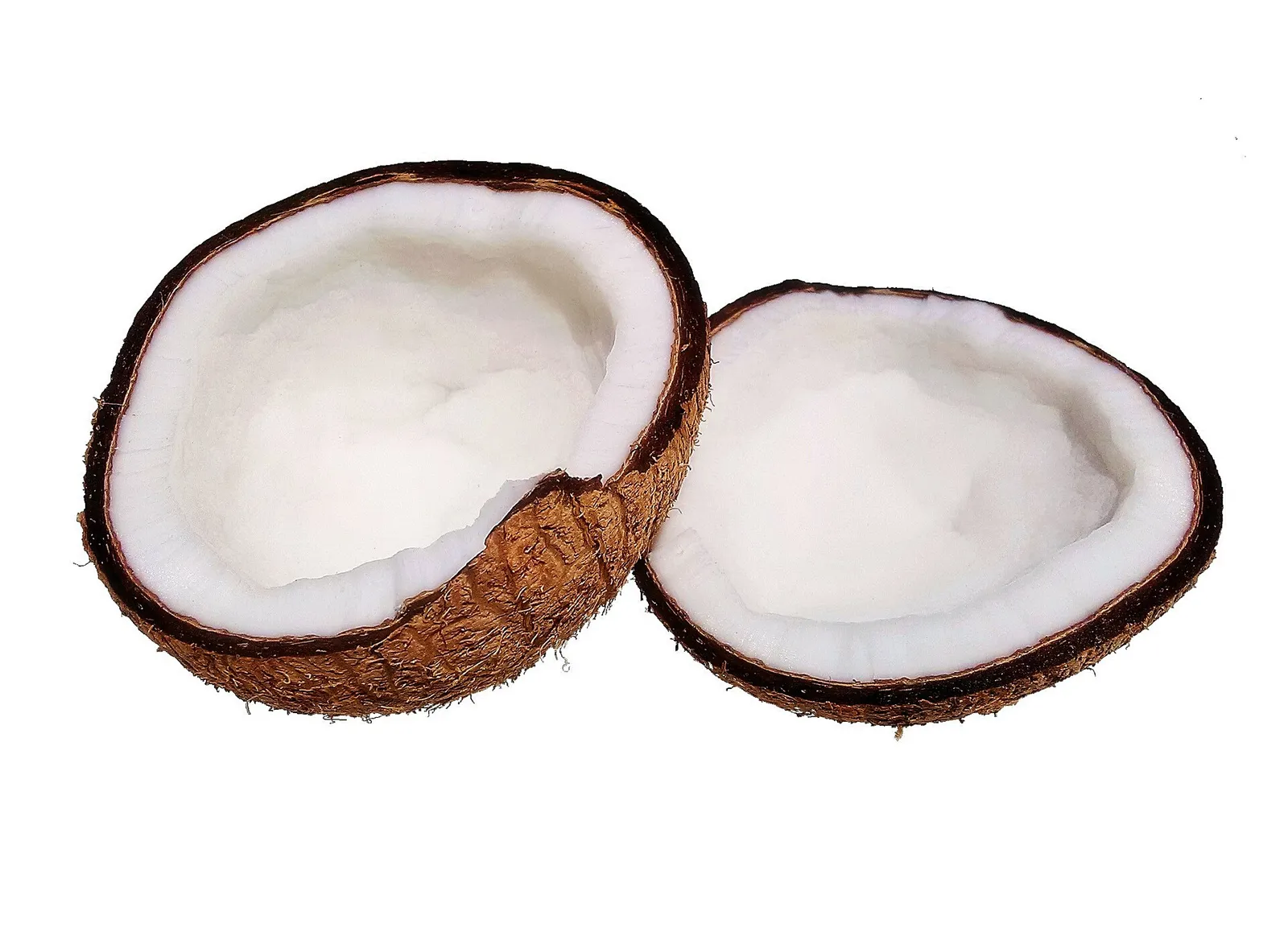 World Coconut day